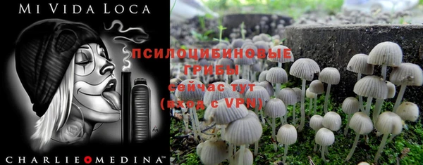 стаф Арсеньев